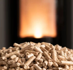 Granulés de bois