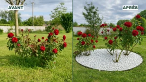 Avant / Après : création d’un parterre de galets décoratif pour un jardin zen et moderne - Garadise.fr